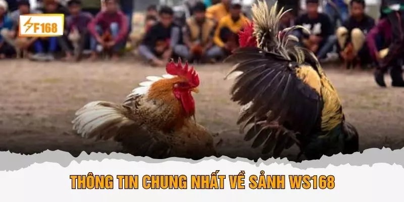 Thông tin chung nhất về sảnh WS168